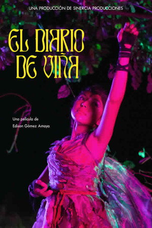 El Diario de Viña poster