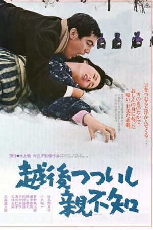 越後つついし親不知