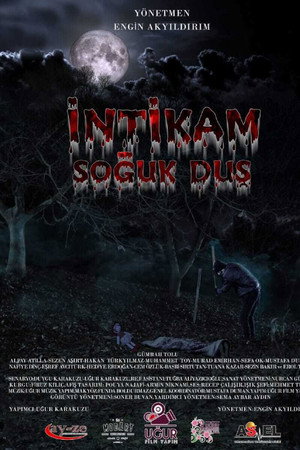 İntikam Soğuk Duş poster