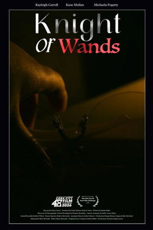 Knight Of Wands poster