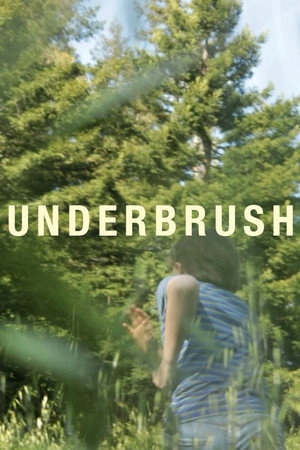 Underbrush poster