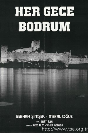 Her Gece Bodrum