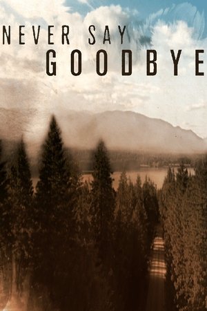 Never Say Goodbye