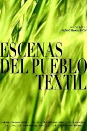 Escenas del pueblo textil poster