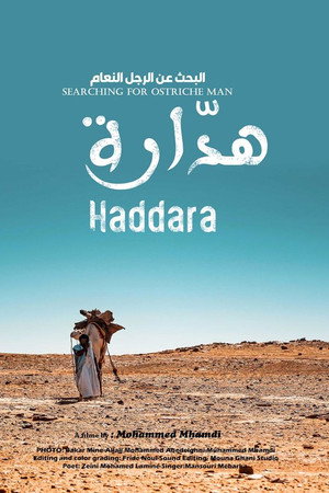 Searching for Ostrich Man Haddara