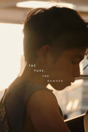 The Pure, The Damned