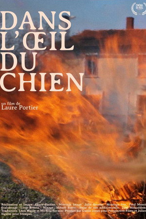 Dans l'oeil du chien poster