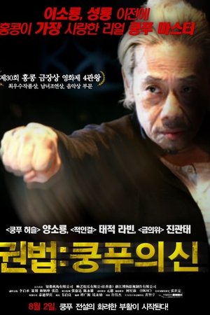 권법 : 쿵푸의 신