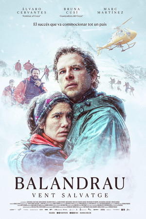 Balandrau, vent salvatge