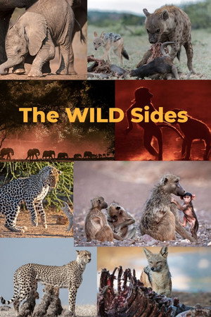 The Wild Sides