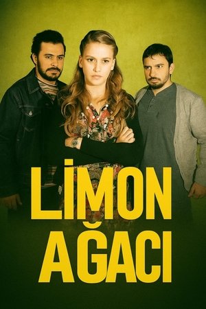 Limon Ağacı