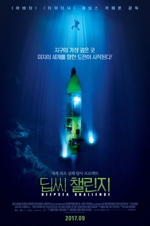 딥씨 챌린지