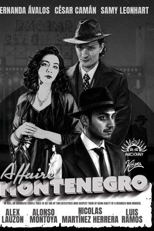 The Montenegro Affair