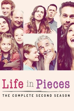 Life In Pieces