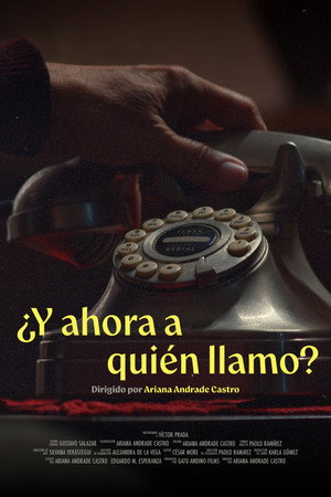 ¿Y ahora a quién llamo? poster