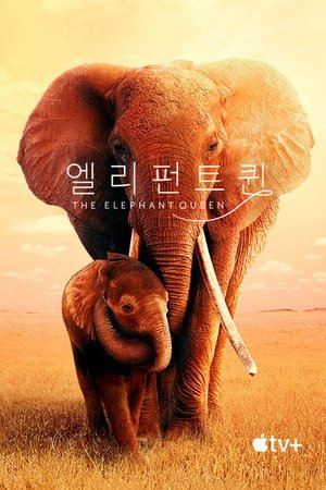 '엘리펀트 퀸' - The Elephant Queen