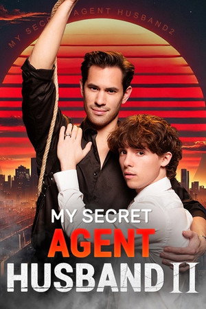 My Secret Agent Husband