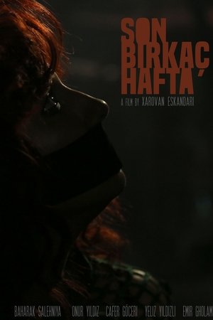 Son Birkaç Hafta