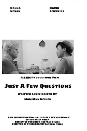 Just a Few Questions poster