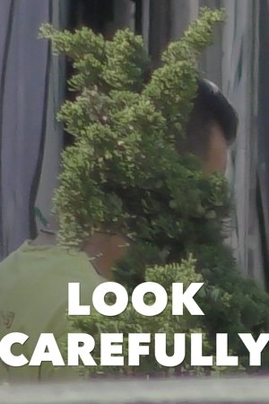 Look Carefully