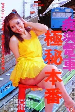 痴漢電車　極秘本番