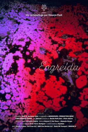 Engreída poster