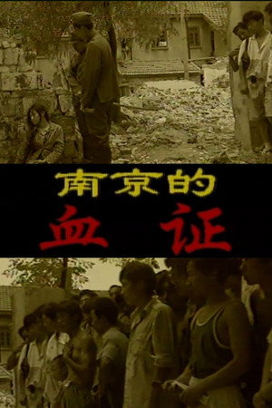 南京的血证 南京的血证