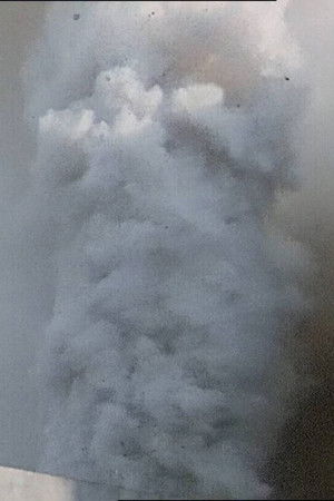 Una lepre con la faccia di bambina