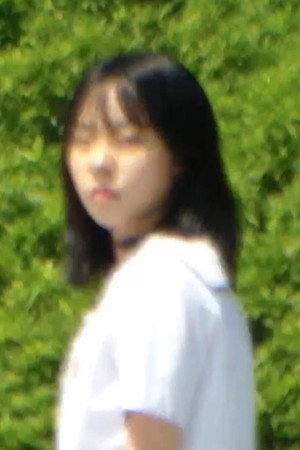 유디코