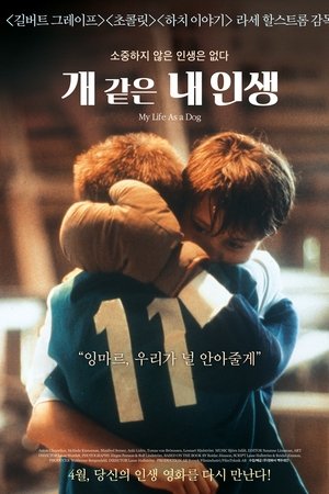개 같은 내 인생