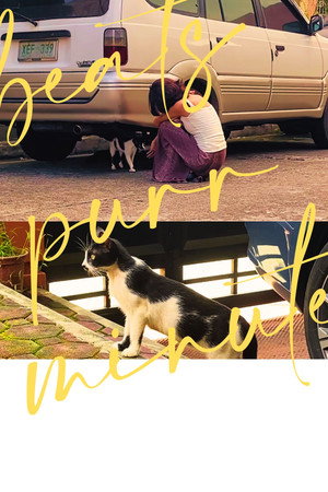 beats purr minute poster