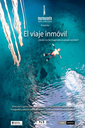 The motionless journey poster