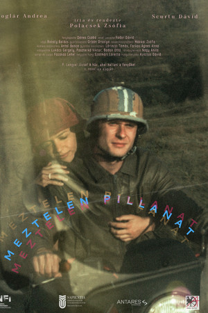 Our Tender Moment poster