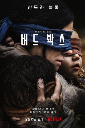 버드 박스
