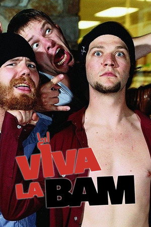 Viva La Bam - Fort Knoxville