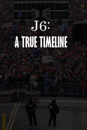 J6: A True Timeline poster