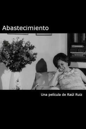 Abastecimiento poster
