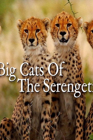 Big Cats of the Serengeti poster
