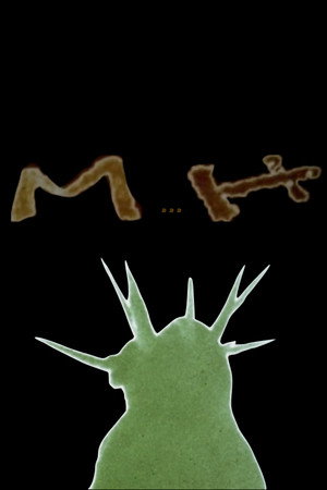 M…H poster