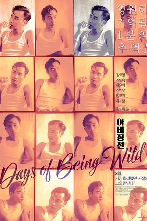 아비정전