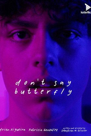 Don't Say Butterfly poster