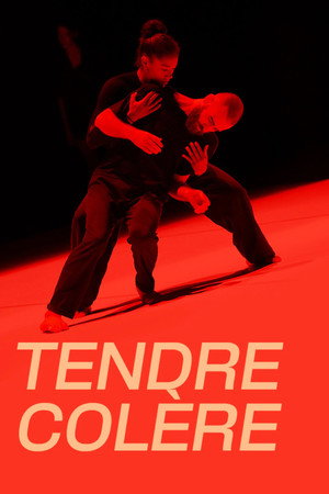 Suresnes cité danses, Tendre colère poster