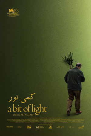 کمی نور کمی نور