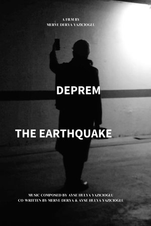 THE EARTHQUAKE