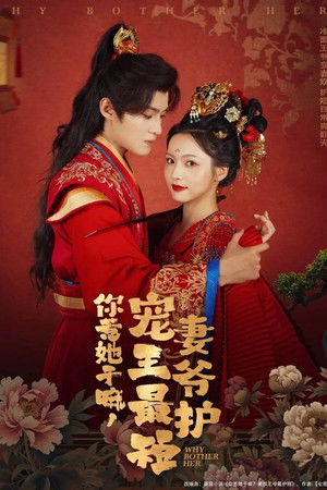 你惹她干嘛，宠妻王爷最护短