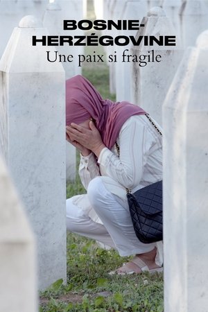 Poster of Bosnie-Herzégovine - Une paix si fragile