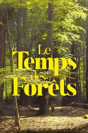 The Time of Forests The Time of Forests