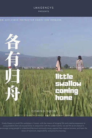 Little Swallow Coming Home poster
