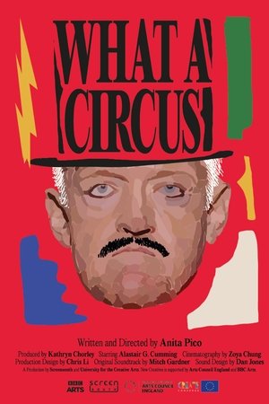 What a circus