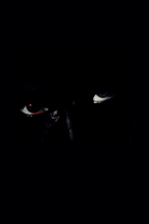Projection poster